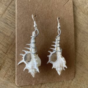 Drop murex shell earrings with silver wire and accents