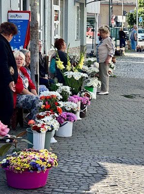 img_3480 - OPT