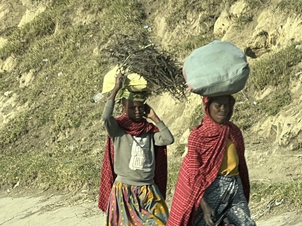 img_5017 - OPT