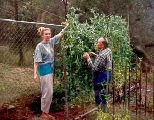 two people in a vegetable garden